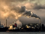 Females are more affected by air pollution than males: Study Females are more affected by air pollution than males: Study