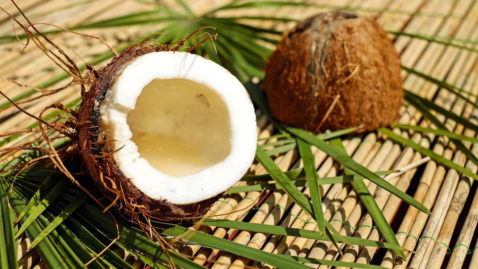 World Coconut Day 2022: Enjoy the goodness of the tropical fruit with these coconut based recipes