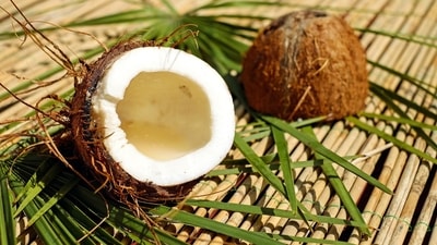 World Coconut Day 2022: Enjoy the goodness of the tropical fruit with these coconut based recipes (Image by Couleur from Pixabay ) World Coconut Day 2022: Enjoy the goodness of the tropical fruit with these coconut based recipes (Image by Couleur from Pixabay )