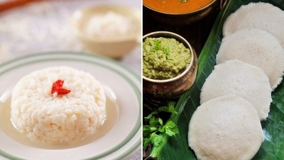 What is fermented rice; know its benefits from nutritionist (Pinterest) What is fermented rice; know its benefits from nutritionist (Pinterest)