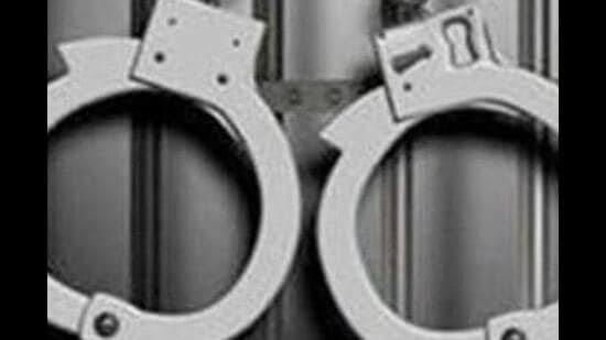 UP man gets life imprisonment for rape, murder of 4-year-old Panipat girl
