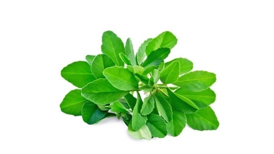 Methi leaves help in reversing the metabolic changes in the lens and reducing the density of the cataract with usage.(Unsplash)