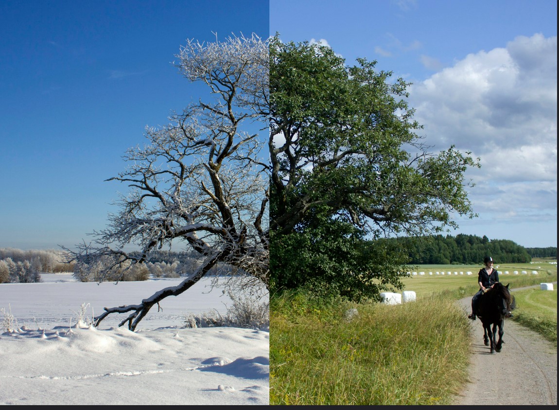 Find out whether your zodiac falls under the summer or winter time. Find out whether your zodiac falls under the summer or winter time.