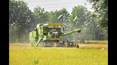 Govinda Hari Sonawane has made a portable machine named “BioChar” that converts agricultural waste and crop residues into valuable products like bio-incense sticks, paper plates and “vegan leather”. (REPRESENTATIVE IMAGE)