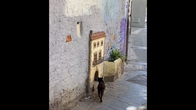 The image, taken from the viral video on Instagram, shows a cat entering a beautifully decorated mini door that looks like a house.&nbsp; (Instagram/@jea.nnee)