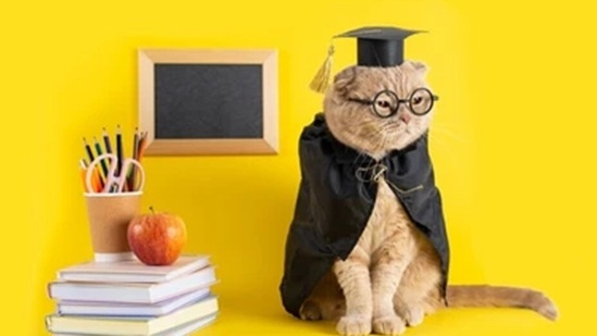 This teachers' day, here are 10 things you can learn from your pet.(Shutterstock)