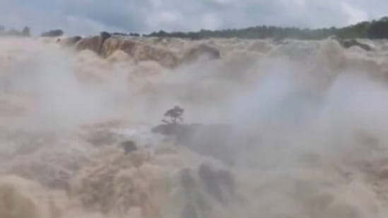 The Shimsha, a tributary of the Cauvery, flowed with a newfound rage after rain filled it to the brim.(Screengrab of Twitter video)