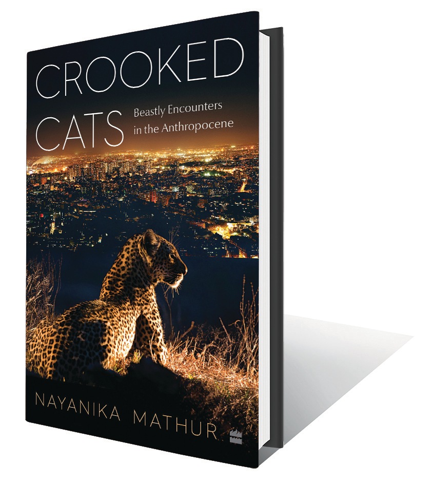 224pp, Rs499; HarperCollins (Placing crooked cats at the centre of the question of how we are to comprehend a planet in crisis.) 224pp, Rs499; HarperCollins (Placing crooked cats at the centre of the question of how we are to comprehend a planet in crisis.)