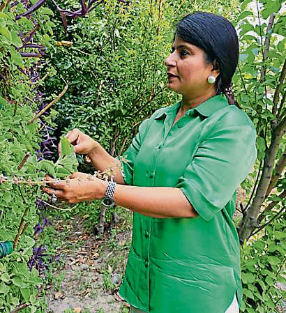 Among the best parts of the job? The follow-up calls of good news. “People proudly send pictures of how the plants are thriving, long after treatment,” says Geetanjali Mehra, co-founder of the hospital.