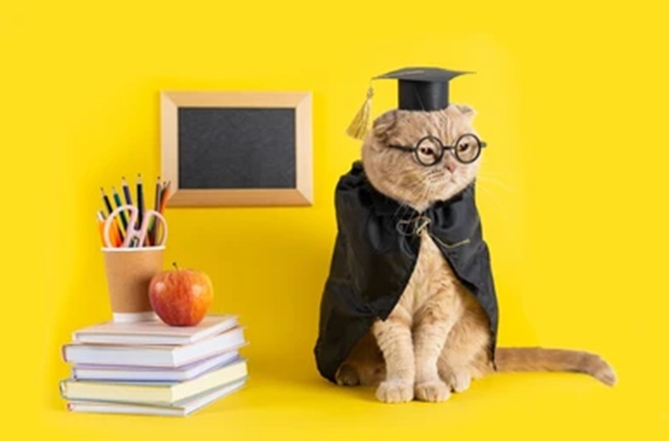 This teachers' day, here are 10 things you can learn from your pet. (Shutterstock) This teachers' day, here are 10 things you can learn from your pet. (Shutterstock)