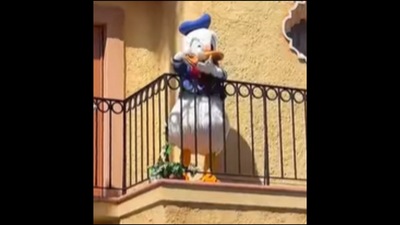 Donald Duck signs to a hearing impaired kid at Disney World. (Instagram/@christykeanecan) Donald Duck signs to a hearing impaired kid at Disney World. (Instagram/@christykeanecan)