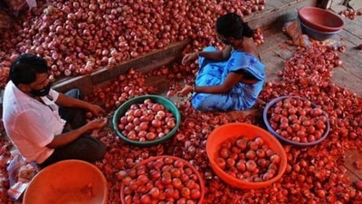 Onions were sold at 300 rupees ($1.37) a kilo from 50 rupees before the floods, according to a resident.(HT File) Onions were sold at 300 rupees ($1.37) a kilo from 50 rupees before the floods, according to a resident.(HT File)