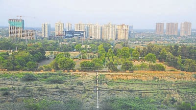 (Representative photo) In the last five years, the mini-forest has developed into a self-sustaining ecosystem with more than 140 species of rare & endangered plants growing in it. (Representational photo) (Representative photo) In the last five years, the mini-forest has developed into a self-sustaining ecosystem with more than 140 species of rare & endangered plants growing in it. (Representational photo)