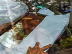 Cyrus Mistry was killed in a car accident while returning to Mumbai on Sunday afternoon. Cyrus Mistry was killed in a car accident while returning to Mumbai on Sunday afternoon.