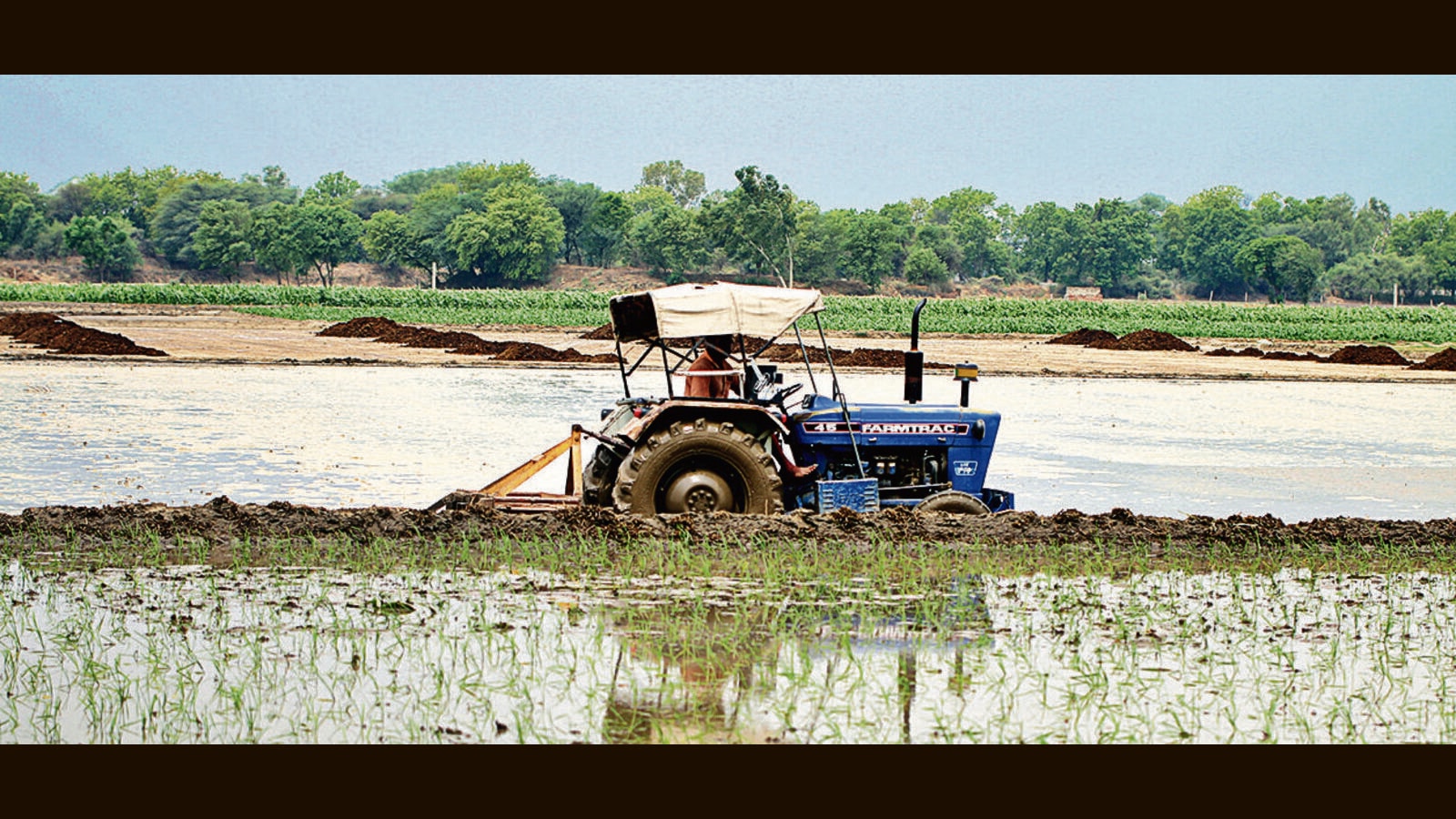 Ekta Rice Land Haryana govt for strict compliance of basmati trading on e-NAM portal ...