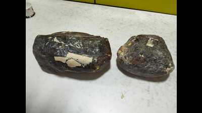 The recovered Ambergris (Sourced)