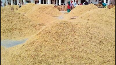 The minister said the Yogi Adityanath government was committed to protecting interests of farmers and enhancing their income through various means. (Pic for representation)