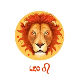 Leo and their most proud features. Leo and their most proud features.