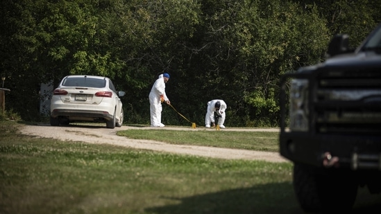 Investigators examine the crime scene outside the home of Wes Petterson in Weldon, Saskatchewan, Monday, September 5, 2022. (AP Photo/Robert Bumsted)