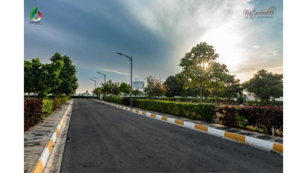 Aakruthi Natureville Beyond includes a nature trail, bird bath, fruit orchard and outdoor working pods, with over 4000 trees and lush green lands Aakruthi Natureville Beyond includes a nature trail, bird bath, fruit orchard and outdoor working pods, with over 4000 trees and lush green lands
