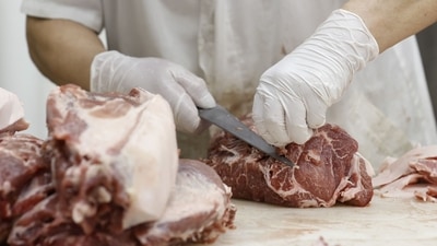 The ban has been criticised by the Dutch meat industry. (Bloomberg) The ban has been criticised by the Dutch meat industry. (Bloomberg)