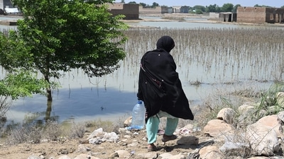 Pakistan Floods: A flood-affected woman goes for toilet near a makeshift camp in Fazilpur, Pakistan, (AFP) Pakistan Floods: A flood-affected woman goes for toilet near a makeshift camp in Fazilpur, Pakistan, (AFP)