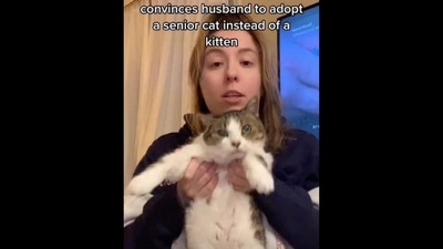 The image, taken from the Instagram video, shows the woman with her cat.&nbsp; (Instagram/@catsdoingthings)