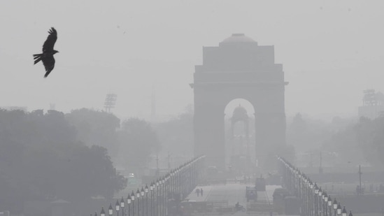 The report has been prepared by the International Forum for Environment, Sustainability &amp; Technology (iForest) with the support of the World Bank Group.(Photo: Arvind Yadav/HT)