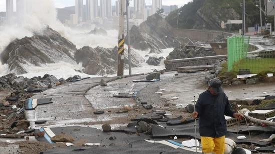 South Korea Typhoon Hinnamnor: A man walks along a damaged coastal road in Ulsan. (AFP)