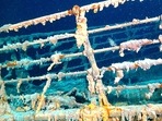 Titanic Wreck: The footage also shows various parts of the Titanic that are decaying. Titanic Wreck: The footage also shows various parts of the Titanic that are decaying.