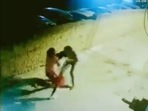 Woman managed to chase him off and showed her bravery.(ANI) Woman managed to chase him off and showed her bravery.(ANI)