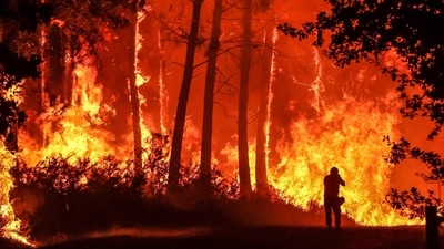 Turkey Wildfire: Hundreds of homes and at least two hotels were evacuated. (AFP) Turkey Wildfire: Hundreds of homes and at least two hotels were evacuated. (AFP)