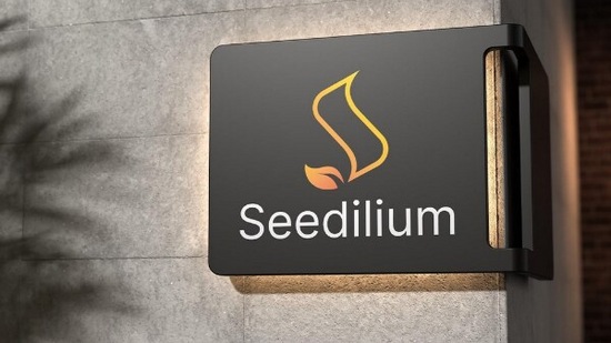 Seedillium (SED) is an innovative hybrid exchange system that is the first of its kind.