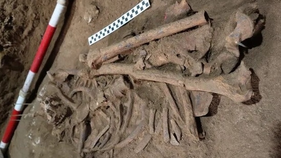World's Earliest Successful Surgery: The skeleton was found in the caves of East Kalimantan.