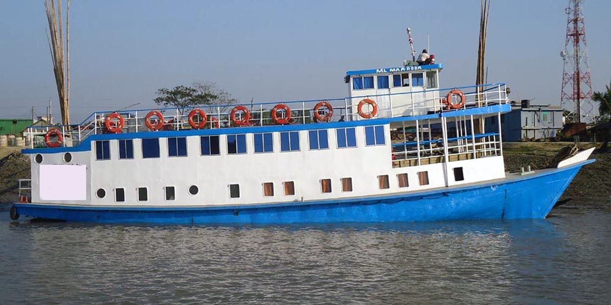 The Sundarbans cruise tour transports you via meandering waterways into untamed woodlands where you may relax and take in the peace and quiet.(Pinterest)