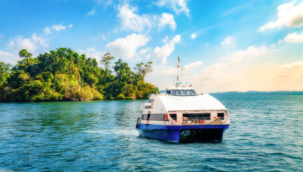 Andaman Cruises are well known for providing a variety of amenities and activities for their guests to enjoy.(istockphoto)