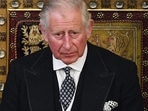 Britain's Prince Charles during a speech.