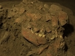 Female Vampire Skeleton Poland: The research team was led by Professor Dariusz Polinski.(Representational) Female Vampire Skeleton Poland: The research team was led by Professor Dariusz Polinski.(Representational)