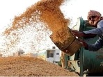 India's kharif rice production may fall by 10-12 mn tonne, says govt India's kharif rice production may fall by 10-12 mn tonne, says govt