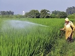 An agricultural labourer sprays pesticides on the paddy crop in a field, at village Vallah on the outskirts of Amritsar. (ANI Photo) An agricultural labourer sprays pesticides on the paddy crop in a field, at village Vallah on the outskirts of Amritsar. (ANI Photo)