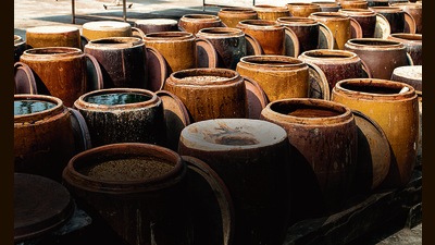 Stages of soy. China invented the sauce, but it was from Japan that traders took it around the world. (Shutterstock) Stages of soy. China invented the sauce, but it was from Japan that traders took it around the world. (Shutterstock)