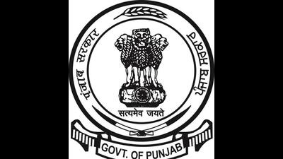 The Punjab government has decided to form a nine-member committee to decide on the quantum of commission to be paid to arhtiyas for cotton crop. (Image for representational purpose)