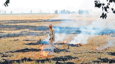 Centre turns down proposal to give cash incentive to Punjab farmers for not burning stubble. (HT photo) Centre turns down proposal to give cash incentive to Punjab farmers for not burning stubble. (HT photo)