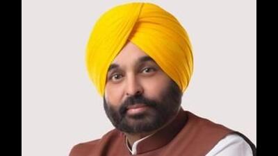 Punjab CM Bhagwant Mann (HT File) Punjab CM Bhagwant Mann (HT File)
