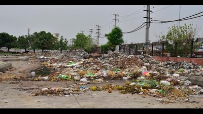 Visitors to Ludhiana’s main vegetable market near Jalandhar Bypass are routinely greeted by utter chaos, unhygienic conditions and accumulated garbage, with the market administration failing to come up with a sustainable solution for waste disposal. (HT File)