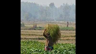 Some announcements may be made for farmers in the Monsoon session of the state legislature, an official in the know said. (For representation) Some announcements may be made for farmers in the Monsoon session of the state legislature, an official in the know said. (For representation)