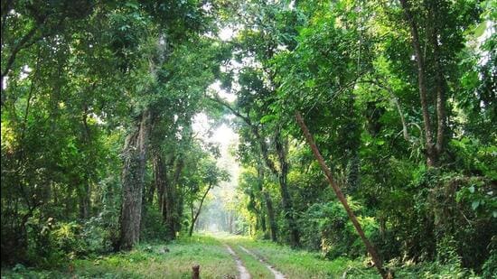 The Dehing Patkai Elephant Reserve falls in Tinsukia and Dibrugarh districts and is located within the periphery of the Dehing Patkai Wildlife Sanctuary (Photo:ffo.gov.in)