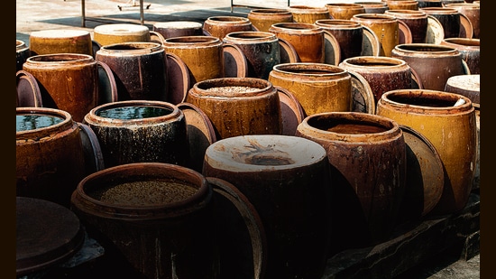 Soy to the world!: Swetha Sivakumar’s ode to the Chinese sauce