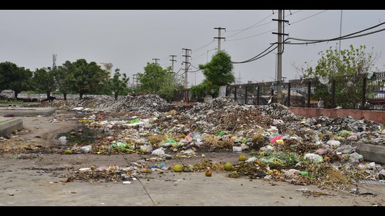 Visitors to Ludhiana’s main vegetable market near Jalandhar Bypass are routinely greeted by utter chaos, unhygienic conditions and accumulated garbage, with the market administration failing to come up with a sustainable solution for waste disposal. (HT File)