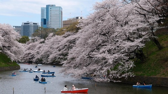 Tokyo governor says Japan should lure more foreign tourists with weak yen&nbsp;(Image by Pexels from Pixabay )